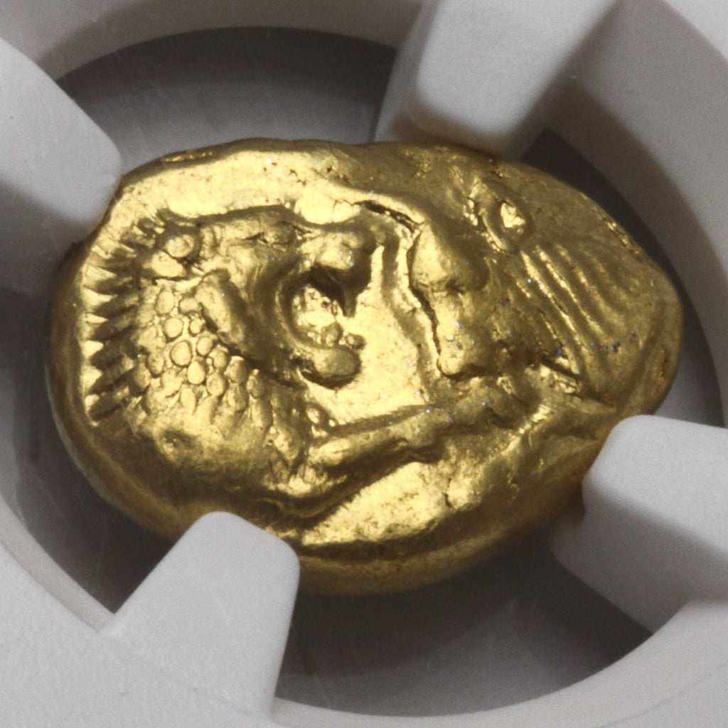 販売実績-古代リディア 561-546BC クロイソス スターテル金貨(ライトシリーズ) AU5/5,3/5(NGC)-UNIVERSAL COIN