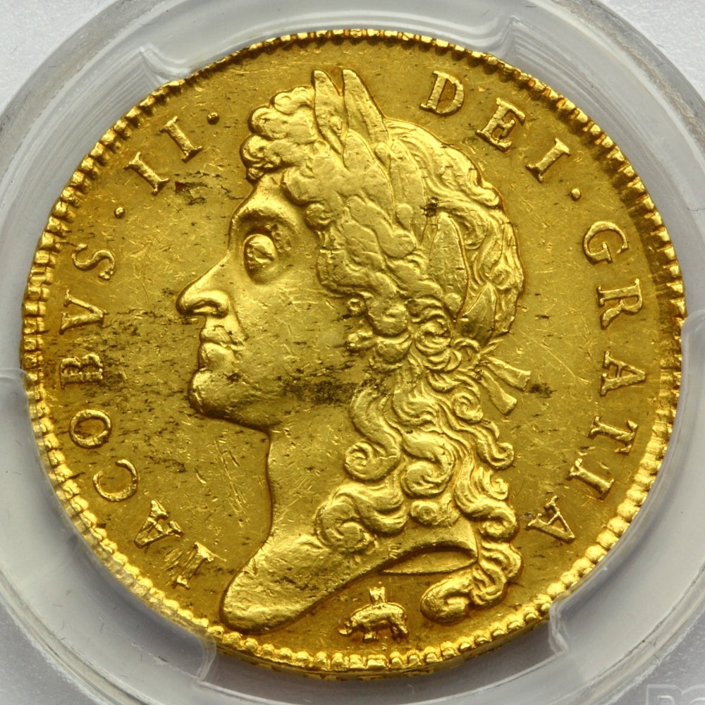 販売実績-イギリス 1688年 ジェームス2世 5ギニー金貨 象あり AU55(PCGS)-UNIVERSAL COIN