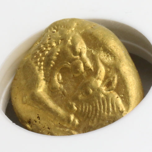 古代リディア 561-546BC クロイソス王 スターテル金貨 Heavy Series MS Strike: 5/5 Surface: 5/5:3989409-001
