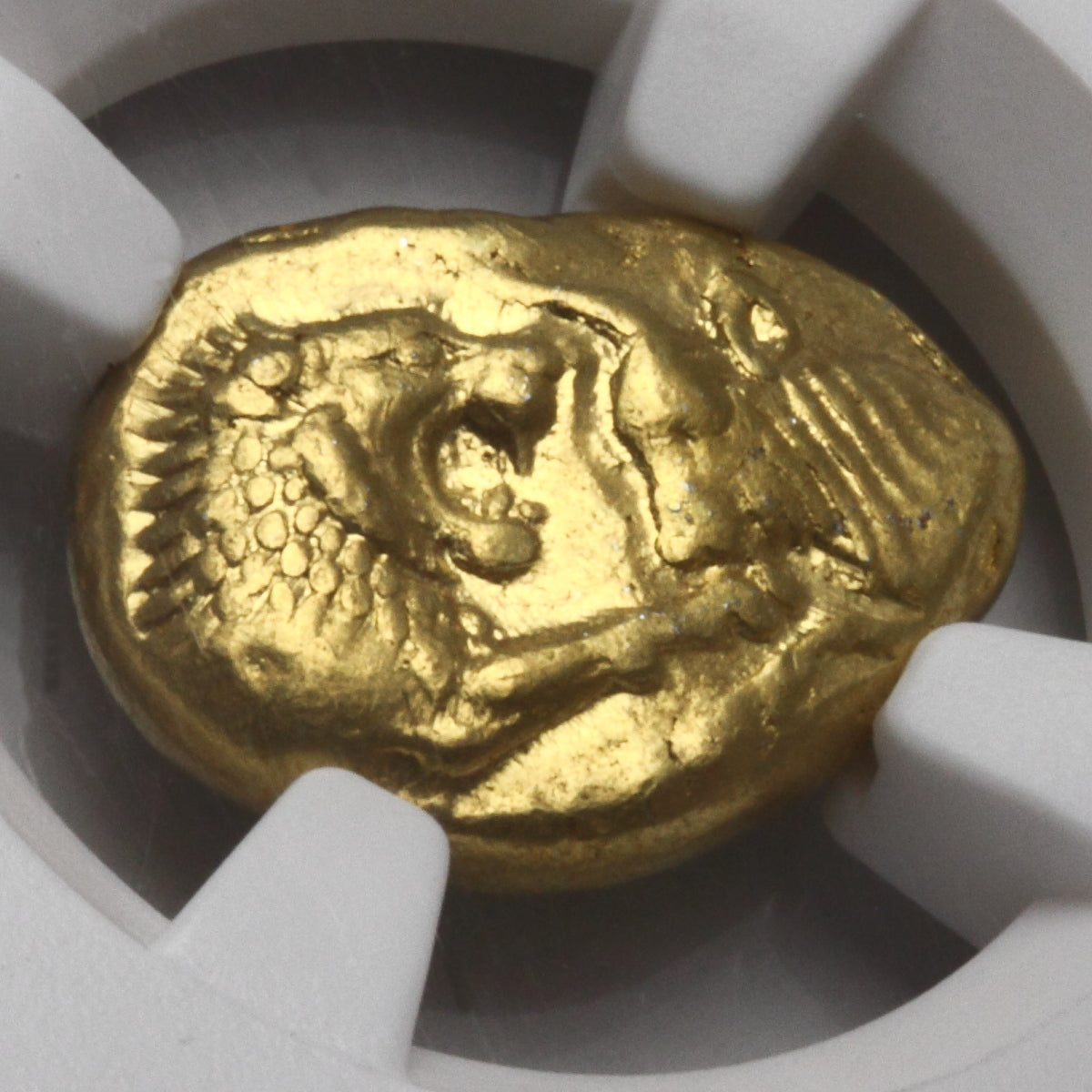 販売実績-古代リディア 561-546BC クロイソス スターテル金貨（ライトシリーズ） AU5/5,3/5（ＮＧＣ）-UNIVERSAL COIN