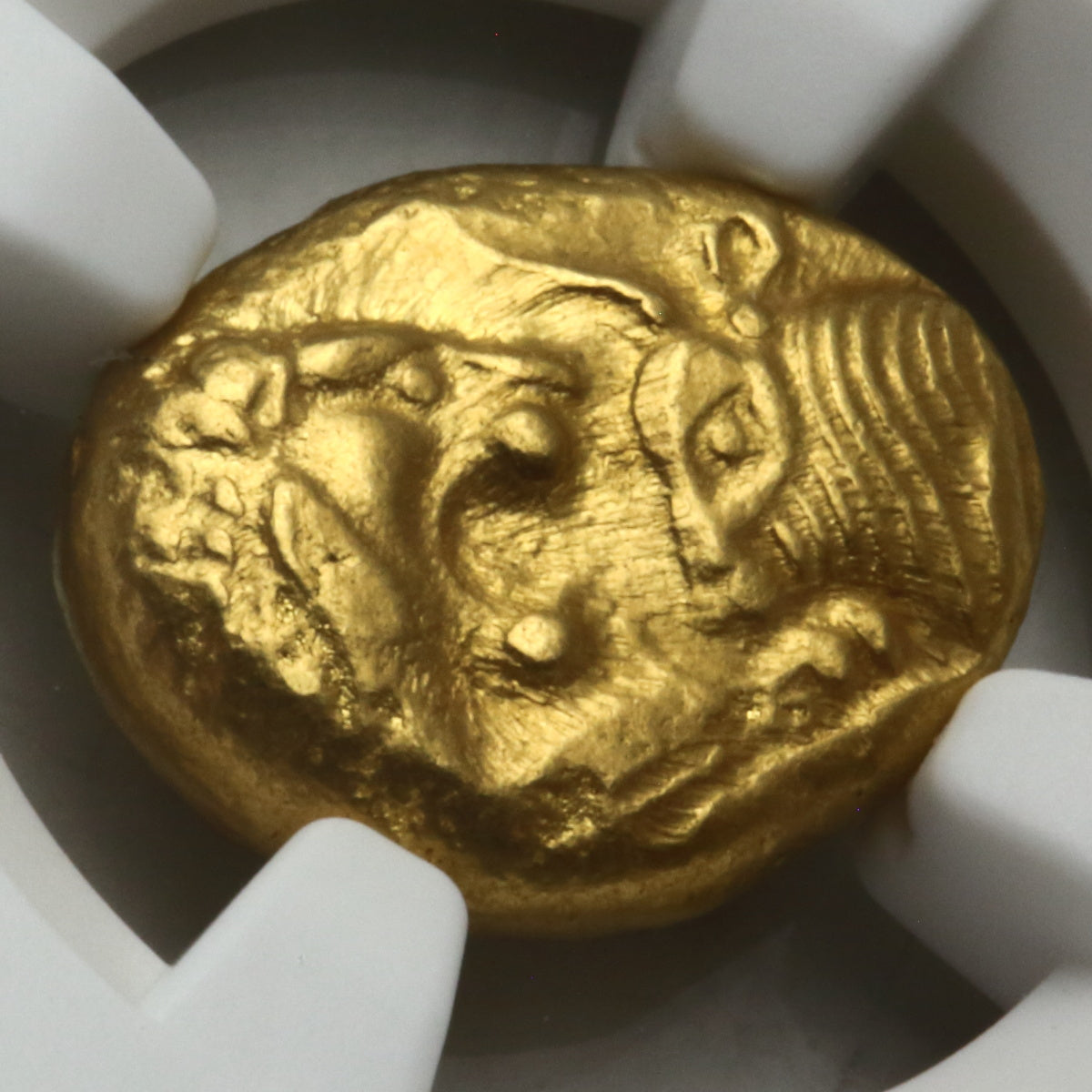 販売実績-古代リディア 561-546BC クロイソス王 スターテル金貨MS4/5,5/5 Light Series（NGC)-UNIVERSAL COIN