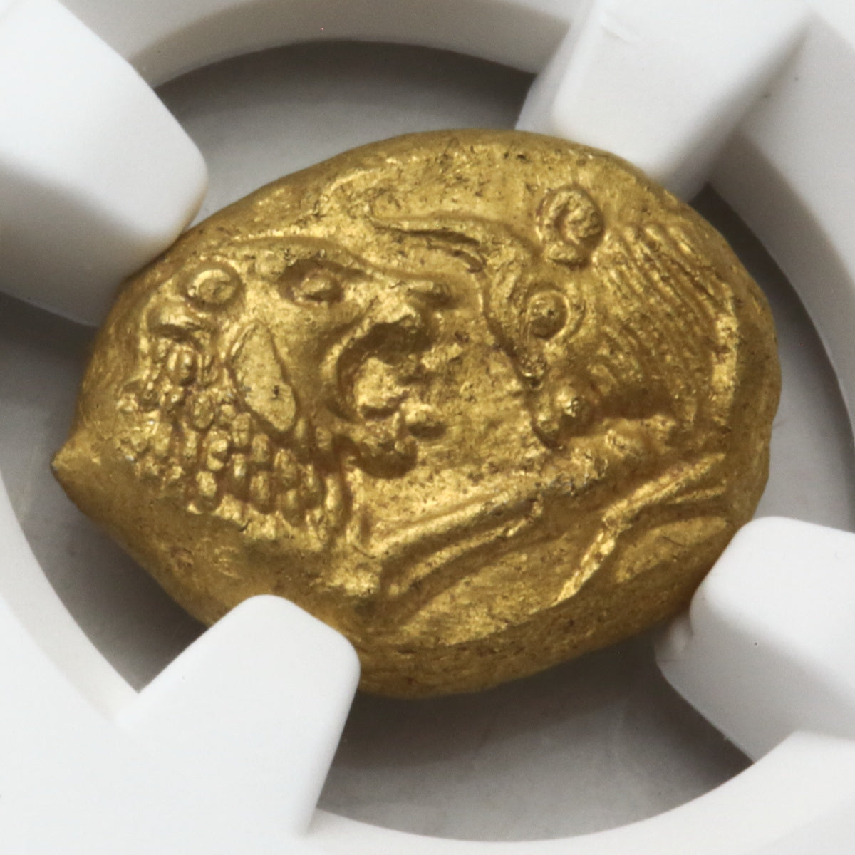 古代リディア 561-546BC クロイソス王 スターテル金貨 MS5/5,3/5 Light Series（NGC) ｜アンティークコイン・モダン コイン- UNIVERSAL COIN