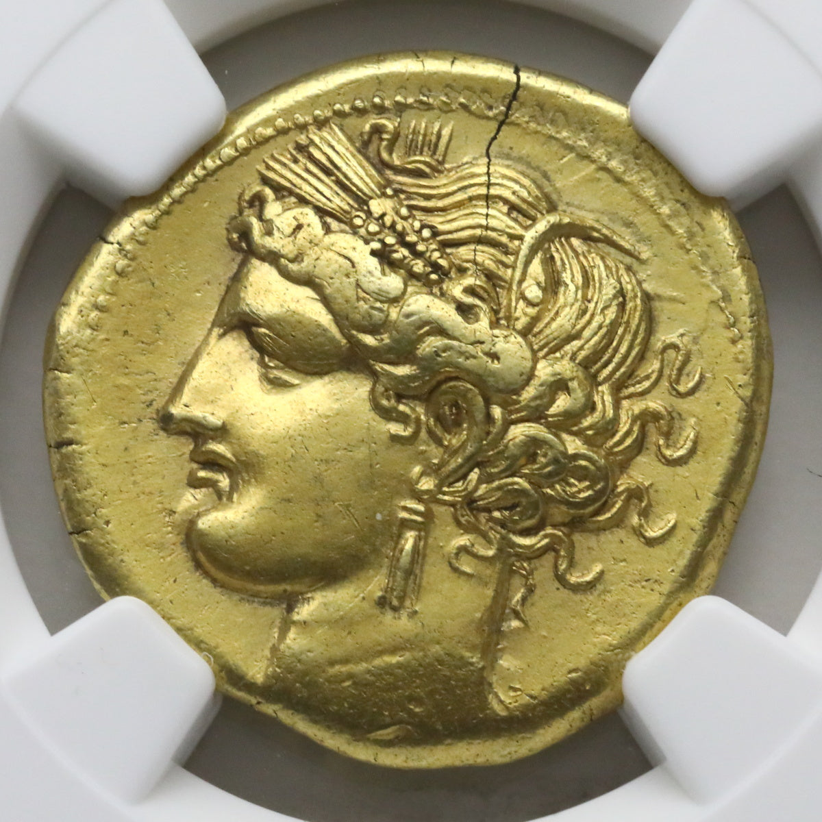古代カルタゴ 264-241BC ゾイジターナ トリヘミシェケル金貨 AU4/5,2/5 brushed：4372904-013