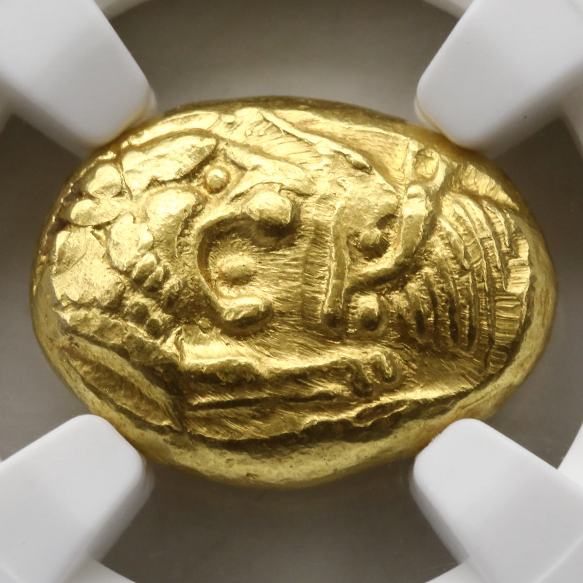 古代リディア 561-546BC クロイソス王 スターテル金貨 Light Series Ch MS Strike: 5/5 Surface: 5/5：4531471-001