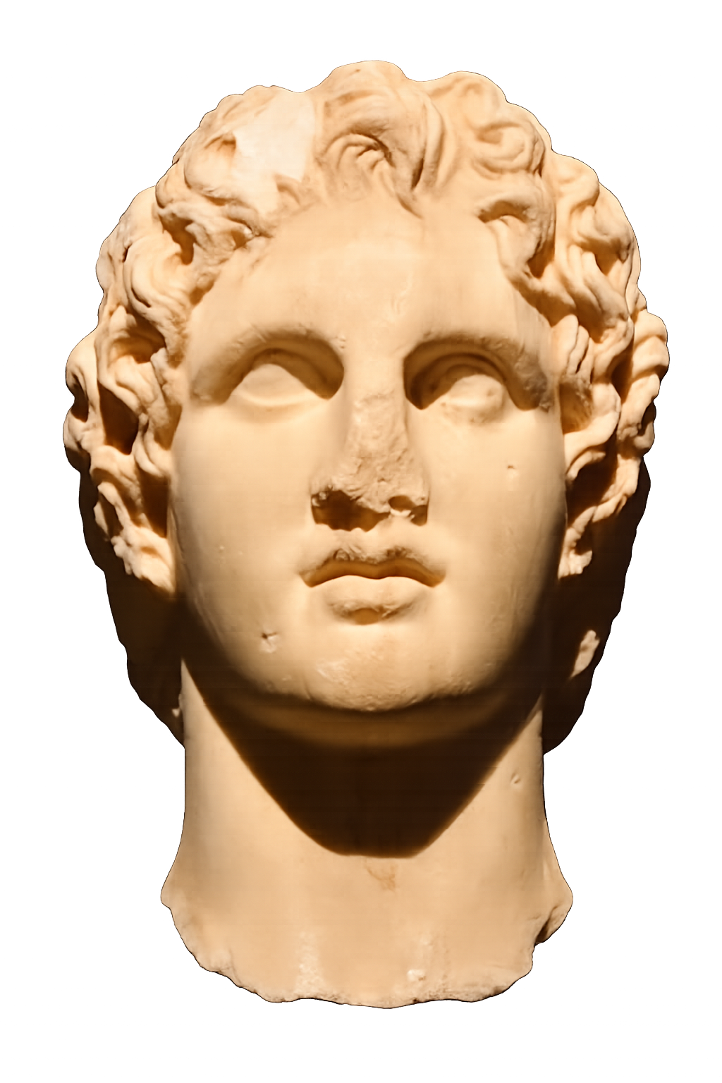 Alexander Portrait